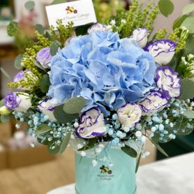 Cerulean Dreams - Blue Hydrangea Bloom Box